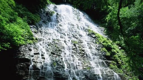数字化高端高效